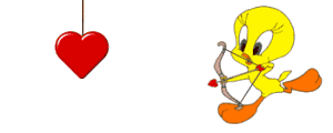 Gif Titi arc